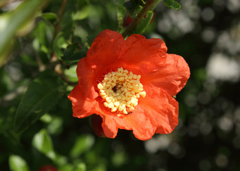 Similar image 1643090