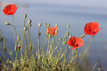 Similar image 1643091