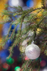 Similar image 1643159