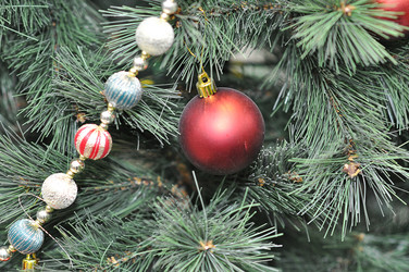 Similar image 1643200