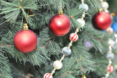 Similar image 1643202