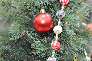 Similar image 1643211