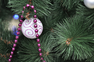 Similar image 1643212