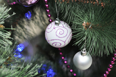 Similar image 1643223