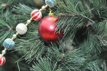 Similar image 1643224