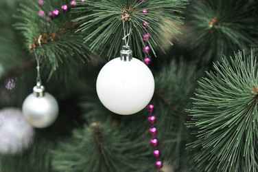 Similar image 1643225