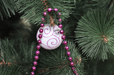 Similar image 1643226