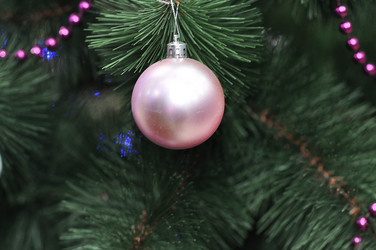 Similar image 1643227