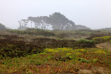 Similar image 1643250