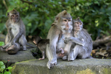 Similar image 1643251