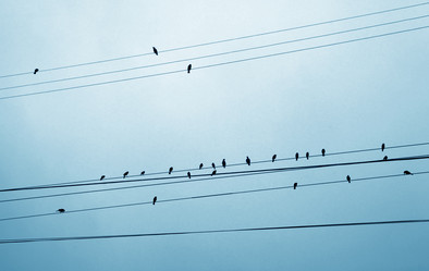 Similar image 1643268