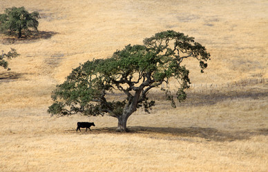 Similar image 1643275