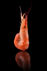 Similar image 1643304