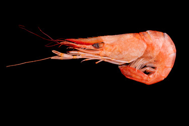 Similar image 1643315