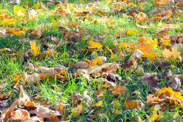 Similar image 1643325