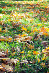 Similar image 1643326