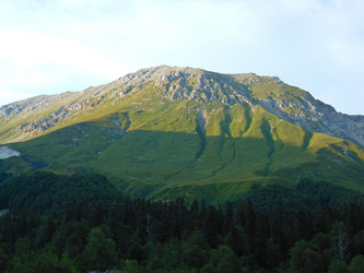 Similar image 1643529