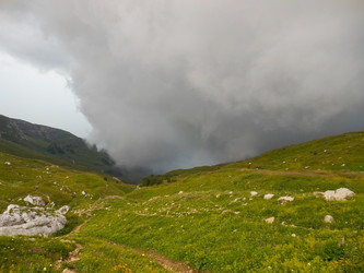 Similar image 1643553