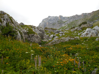 Similar image 1643554