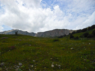 Similar image 1643560