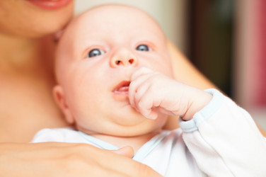 Similar image 1643645