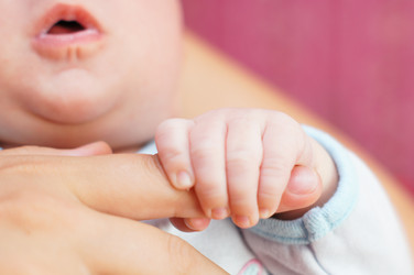 Similar image 1643647