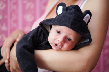 Similar image 1643657