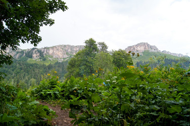 Similar image 1643685