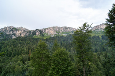 Similar image 1643686