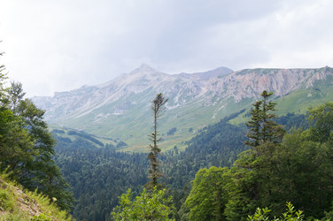 Similar image 1643687