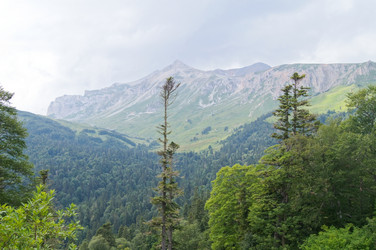 Similar image 1643690