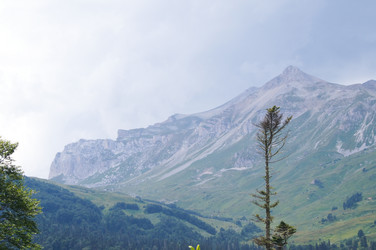 Similar image 1643693