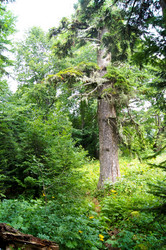 Similar image 1643694