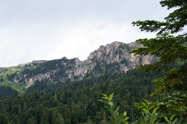 Similar image 1643695