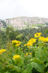 Similar image 1643696