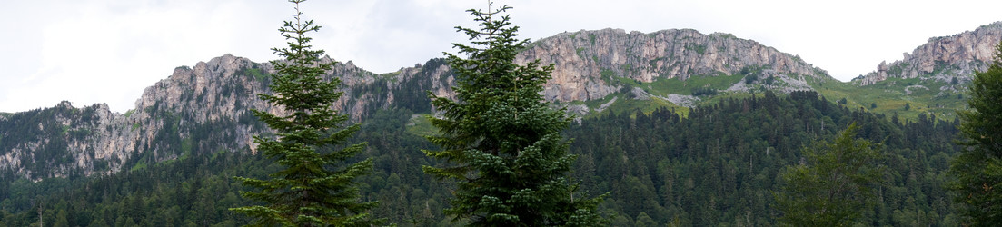 Similar image 1643697