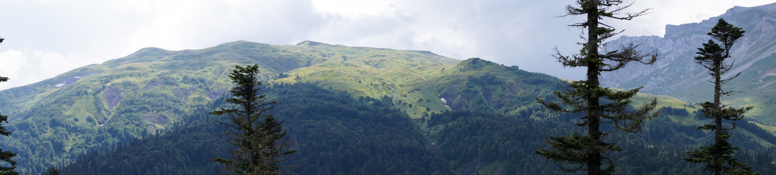 Similar image 1643706