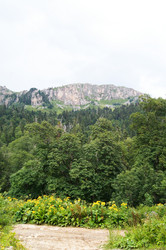 Similar image 1643707