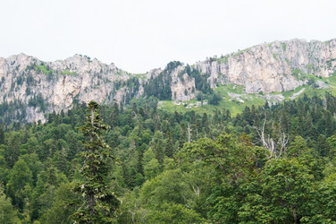 Similar image 1643708