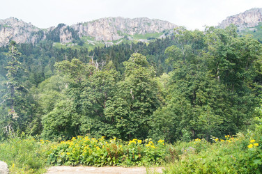 Similar image 1643713