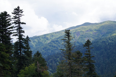 Similar image 1643724