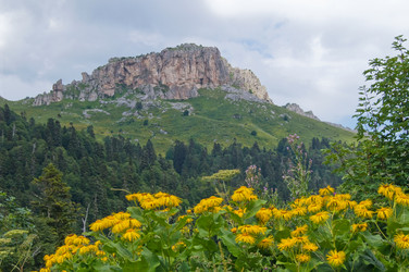 Similar image 1643727