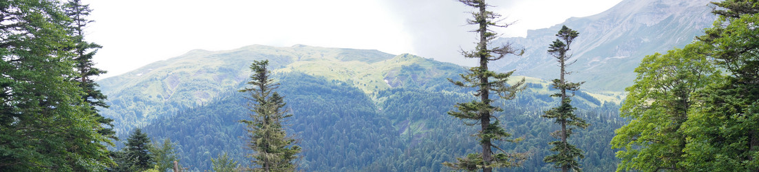 Similar image 1643735