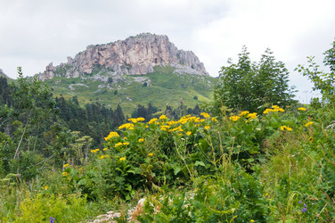 Similar image 1643736