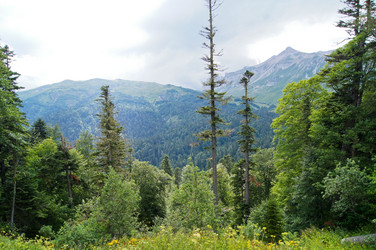 Similar image 1643742