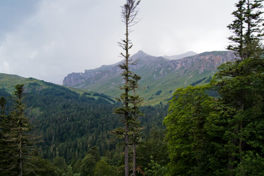 Similar image 1643743