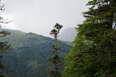 Similar image 1643744