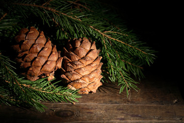 Similar image 1643764