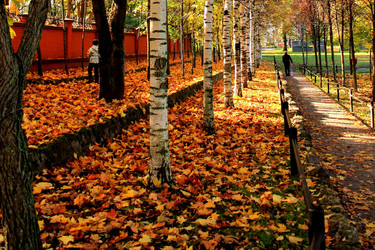 Similar image 1643772