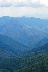 Similar image 1643946